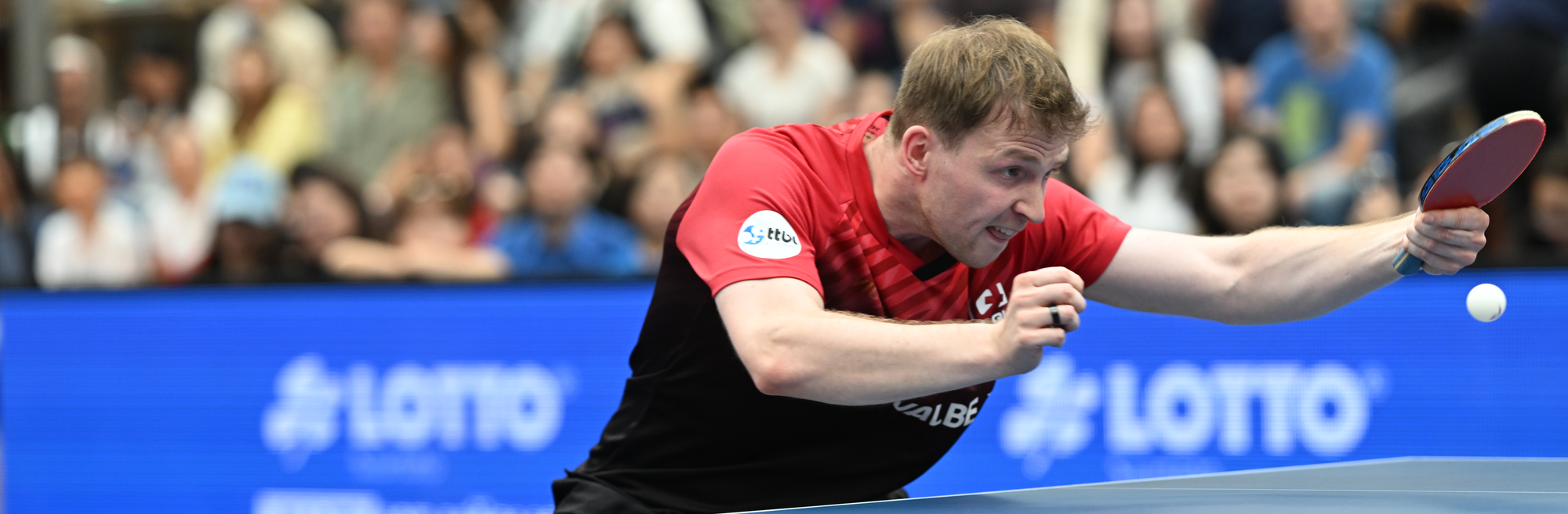 Silver shine thanks to Romanians: Three teams with TTBL stars on the European Championship podium