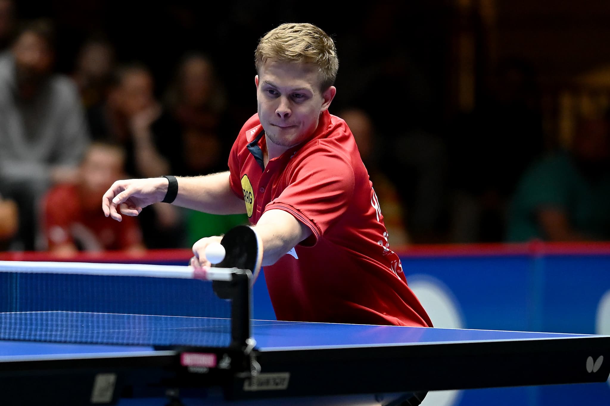 Player Image Borgar Haug