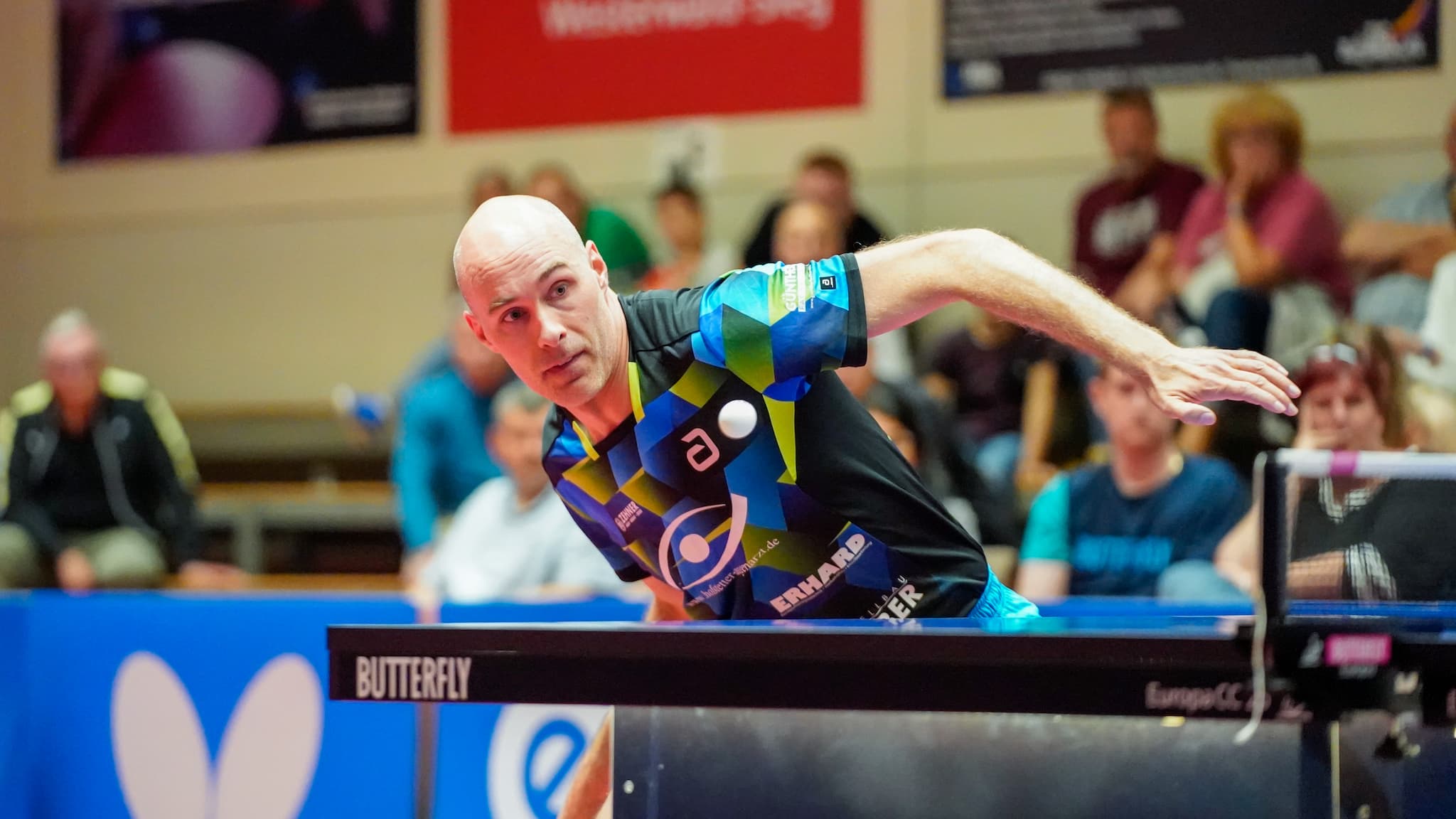 Player Image Daniel Habesohn